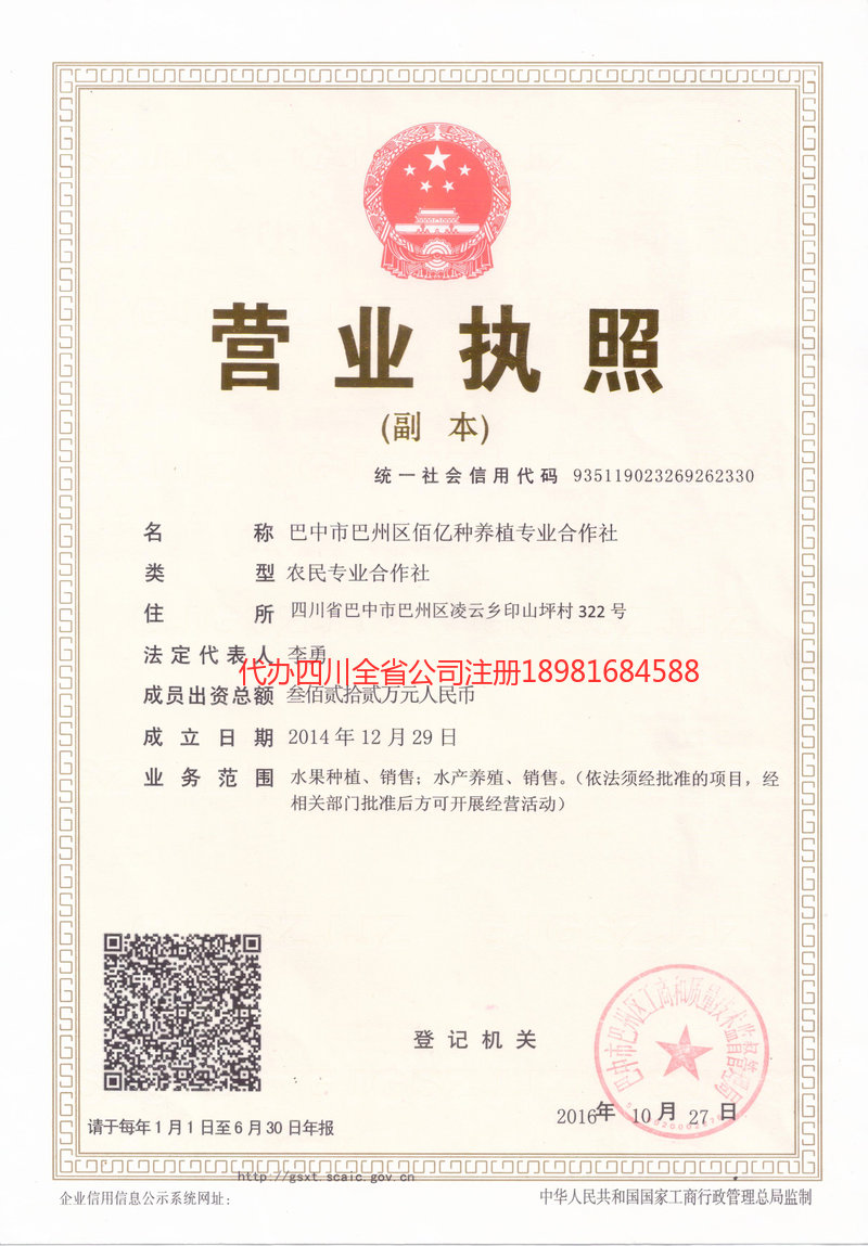 东区东区佰亿种养殖专业合作社